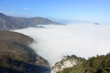 原始森林和远山云海