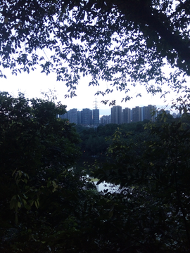 重慶彩云湖黃昏風(fēng)景