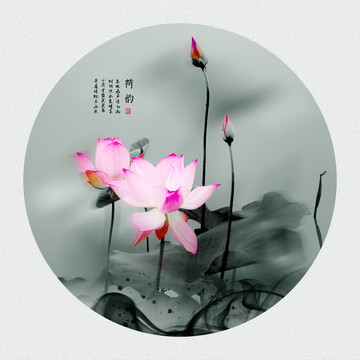 荷花