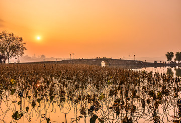 西湖风景