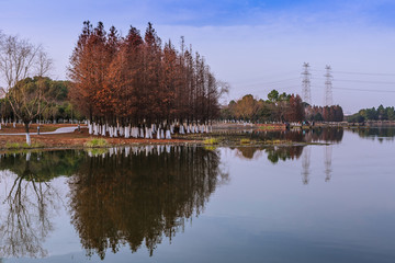 东沙湖风光