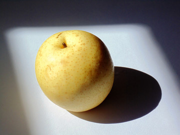 梨子图片