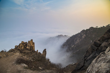 山东青岛崂山浮山森林公园云海