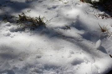 雪地材质