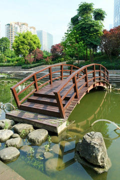 公园小桥