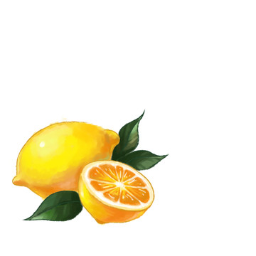 檸檬插畫(huà)