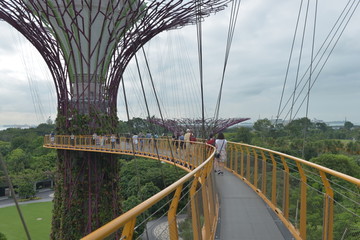 新加坡花园城市空中花园走廊