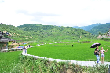 贵州西江千户苗寨田园