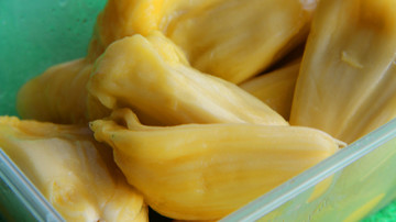 大樹菠蘿