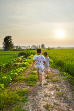 田间小路