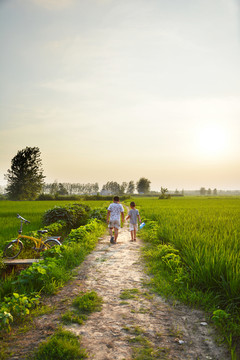 田间小路