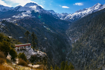 西藏拉康峡谷森林景色