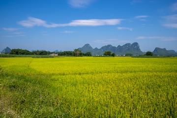 山水田园