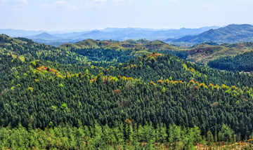 青山远山