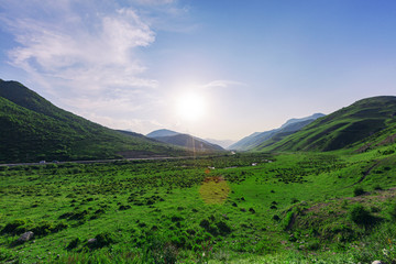 高原山丘