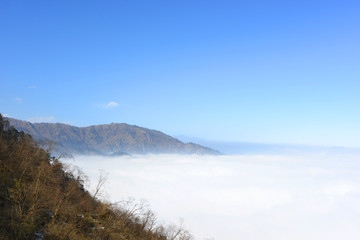 原始森林和远山云海