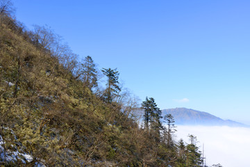 原始森林和远山云海