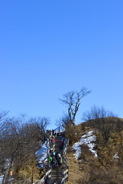 西岭雪山观光栈道林间残雪