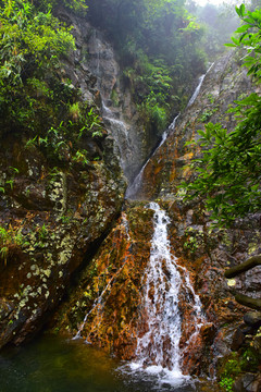 广东肇庆鼎湖山