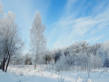 北方冬天冰天雪地雪景树挂雾凇