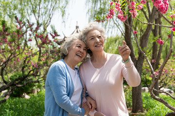 两个老年女人赏花