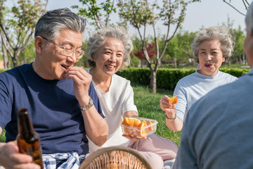 老年夫妻春游野餐