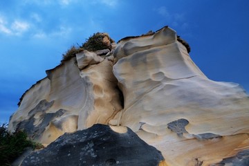 台湾骆驼峰