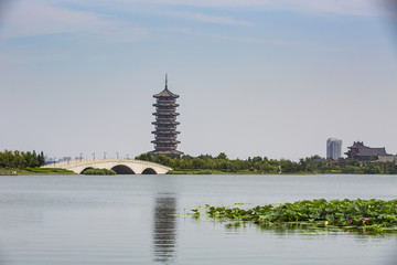 山东青岛胶州少海国家湿地公园