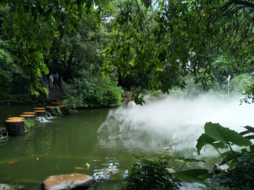 小溪边的风景