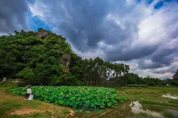 普者黑风景