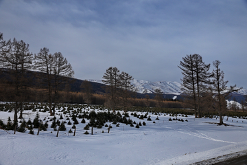 雪山风光