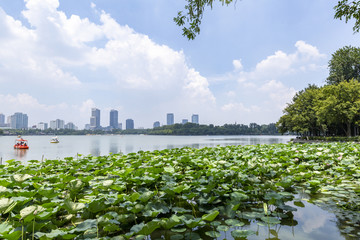 南京玄武湖风光