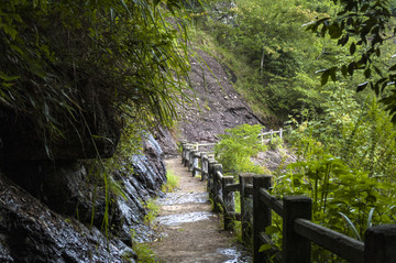 山间小路