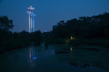 奥森观光塔夜景