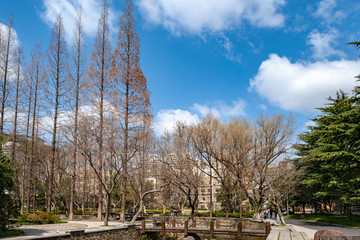 同济大学