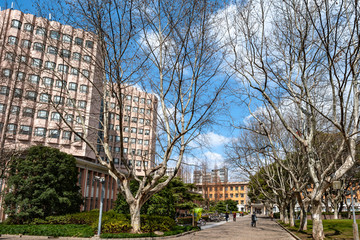 同济大学