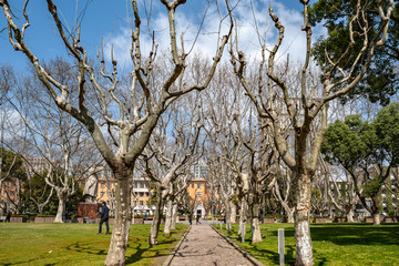 同济大学