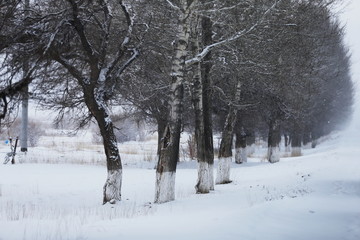 大雪封路