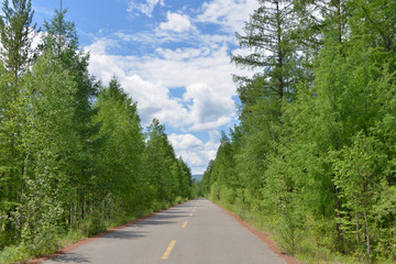林场公路
