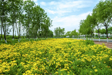 绿树花海