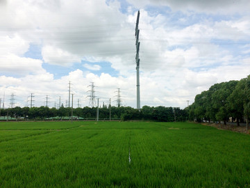 稻田与高压线