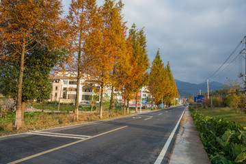 农村公路