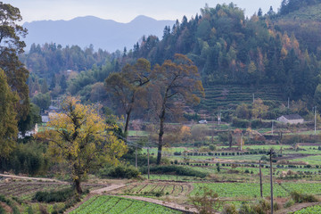 塔川