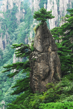 黄山妙笔生花