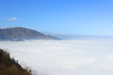 原始森林和远山云海