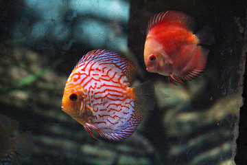 北京海洋馆水族馆