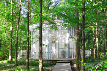 林中玻璃房