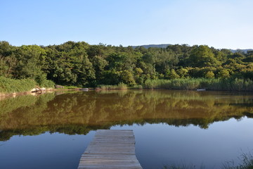 黄昏湖畔