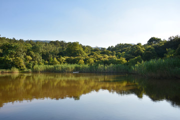 傍晚湖湖泊美景