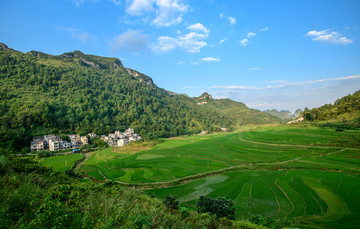 巴泽梯田阳光田野